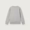 Journey Sweatshirt mit Rundhalsausschnitt für Jungen aus grau melierter Baumwolle mit Maskottchen-Print