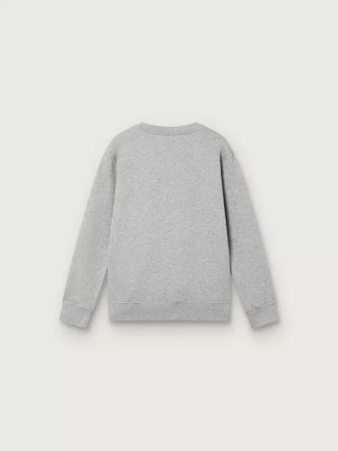 Journey Sweatshirt mit Rundhalsausschnitt für Jungen aus grau melierter Baumwolle mit Maskottchen-Print